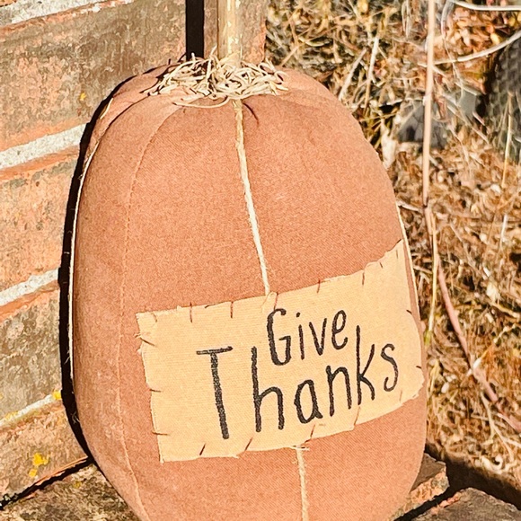 *Give Thanks Pumpkin - Picture 10 of 13